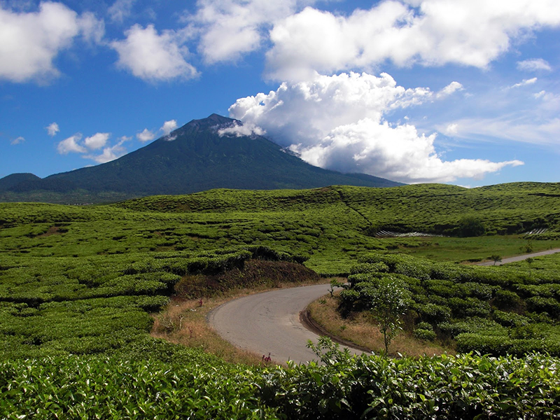 Taman Nasional Kerinci Seblat, Taman Nasional Terbesar di